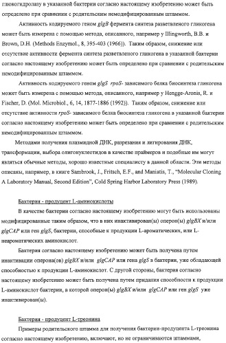 Способ получения l-аминокислот с использованием бактерии, принадлежащей к роду escherichia, в которой разрушен путь биосинтеза гликогена (патент 2315809)