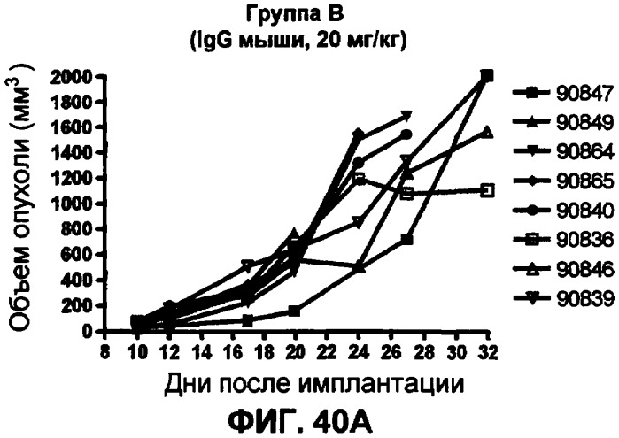 Моноклональные антитела человека к белку программируемой смерти 1 (pd-1) и способы лечения рака с использованием анти-pd-1-антител самостоятельно или в комбинации с другими иммунотерапевтическими средствами (патент 2406760)