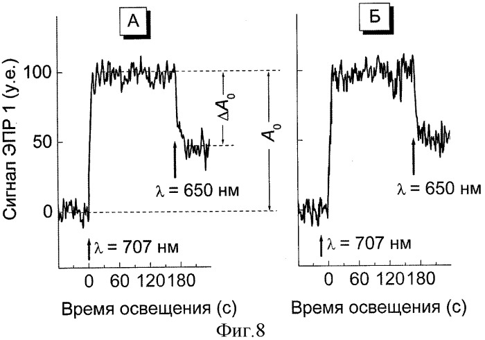 Тонкопленочный материал, содержащий функциональные компоненты, и способ получения тонкопленочного материала, содержащего функциональные компоненты (патент 2326898)