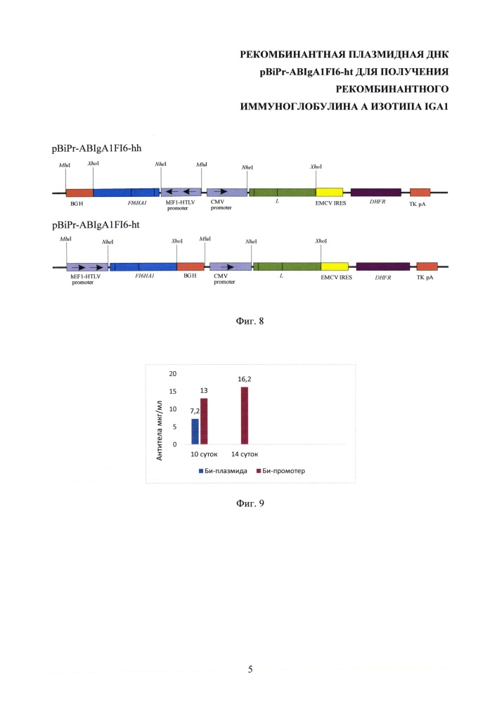 Рекомбинантная плазмидная днк pbipr-abiga1fi6-ht для получения рекомбинантного иммуноглобулина а изотипа iga1 (патент 2656142)