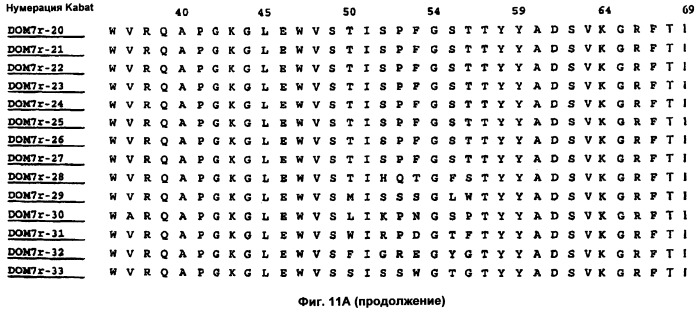 Слитые конструкции лекарственного средства и конъюгаты (патент 2428431)