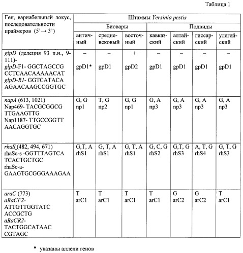 Способ дифференциации штаммов yersinia pestis различных подвидов и биоваров методами полимеразной цепной реакции и мультилокусного сиквенс-типирования (патент 2471872)