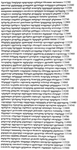 Модуляция экспрессии гентингтина (патент 2562861)