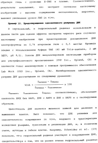 Способ экстракции антоцианинов из черного риса и их композиция (патент 2336088)