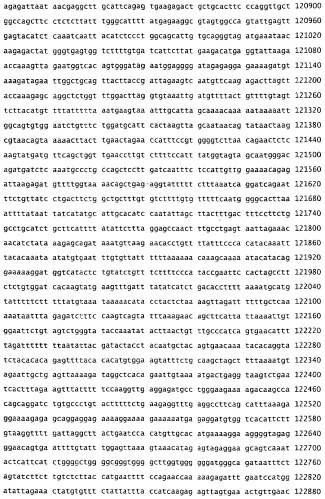 Применение s1p (патент 2362565)