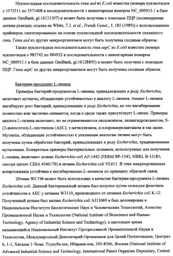 Способ получения l-треонина с использованием бактерии, принадлежащей к роду escherichia, в которой инактивирован оперон rspab (патент 2337961)