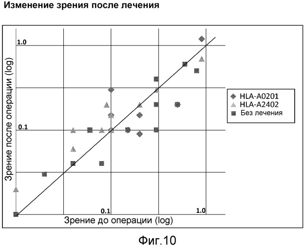 Лечение хориоидальной неоваскуляризации с помощью вакцин (патент 2555345)