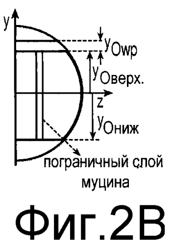 Стабилизированные контактные линзы (патент 2556276)