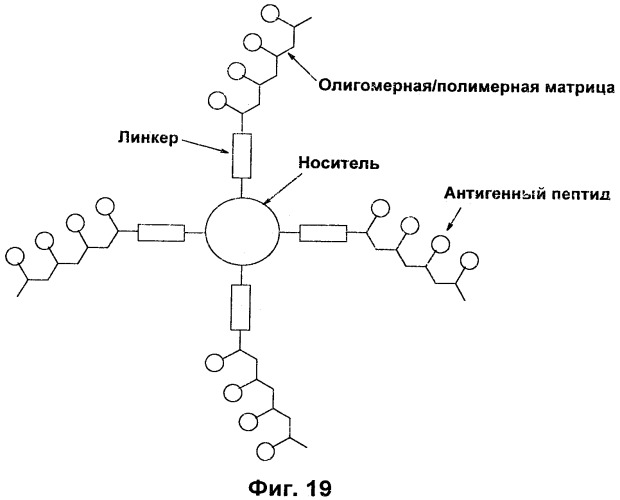 Вакцина против pcsk9 (патент 2538162)