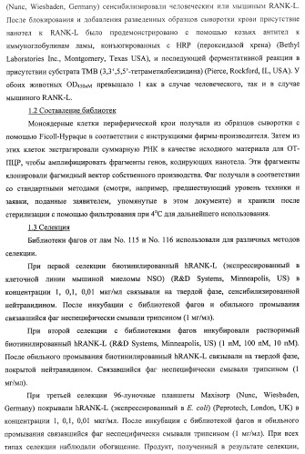 Аминокислотные последовательности, направленные на rank-l, и полипептиды, включающие их, для лечения заболеваний и нарушений костей (патент 2481355)