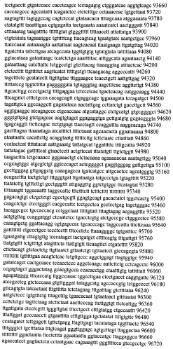 Модуляция экспрессии гентингтина (патент 2562861)