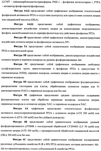 Лечение нейродегенеративных заболеваний (патент 2489155)