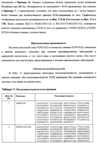 Мутеины кислотной зоны внеклеточного домена рецептора фактора роста фибробластов (патент 2509774)