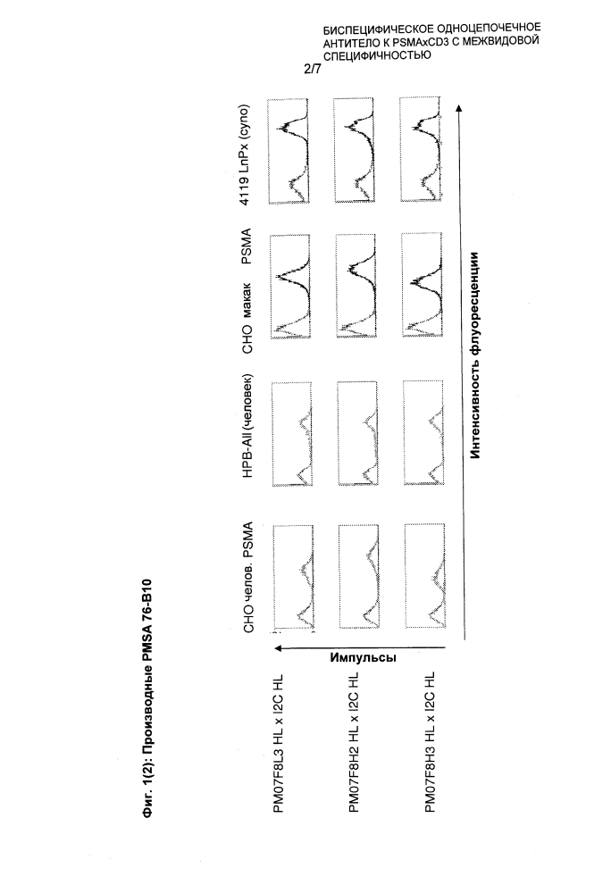 Биспецифическое одноцепочечное антитело к psmaxcd3 с межвидовой специфичностью (патент 2617942)