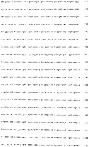Нуклеиноваяя кислота, обладающая активностью гена фосфатазы фосфатидной кислоты (варианты), белок, рекомбинантный вектор, трансформант и способ получения композиции жирной кислоты (патент 2528875)