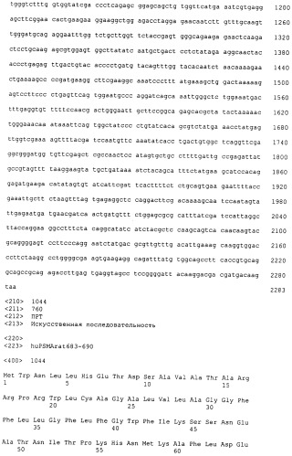 Psma×cd3 биспецифическое одноцепочечное антитело с межвидовой специфичностью (патент 2559531)