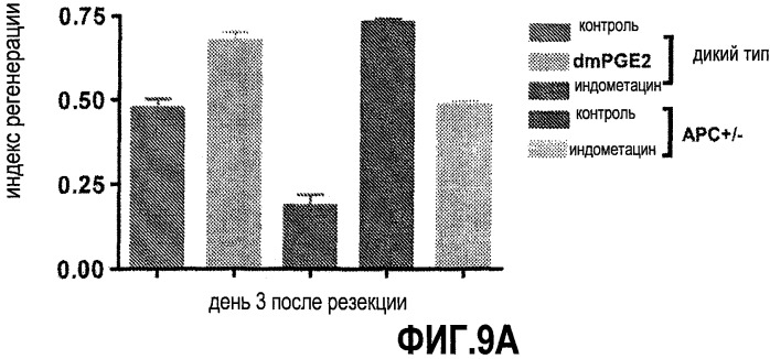 Способ стимуляции регенерации тканей (патент 2480213)