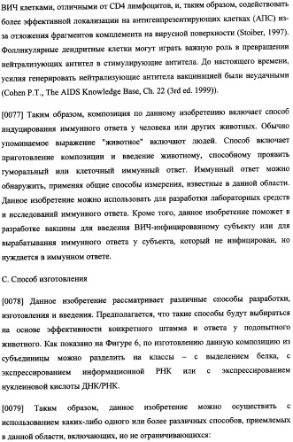 Иммуногенная композиция и способ разработки вакцины, основанной на участках связывания фактора н (патент 2364413)