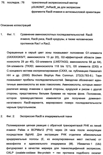 Новые последовательности нуклеиновых кислот и их применение в способах достижения устойчивости к патогенам в растениях (патент 2346985)