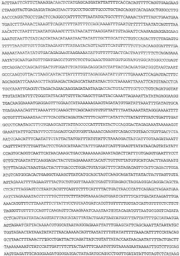 Применение s1p (патент 2362565)