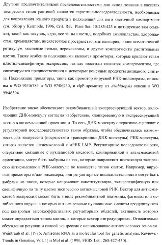 Молекулы нуклеиновых кислот, кодирующие wrinkled1-подобные полипептиды, и способы их применения в растениях (патент 2385347)