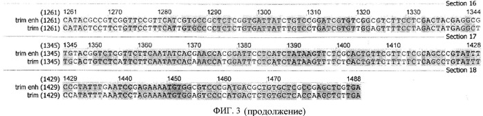 Усовершенствование генетических конструкций для повышения эффективности антивич терапии (патент 2533817)