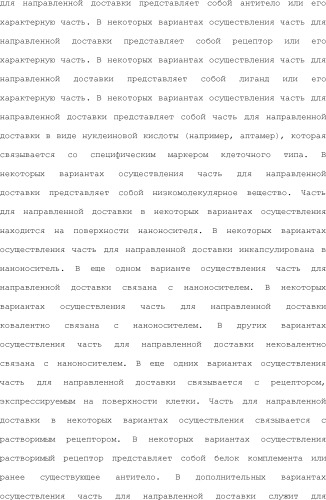 Нацеливание на антигенпрезентирующие клетки иммунонанотерапевтических средств (патент 2497542)