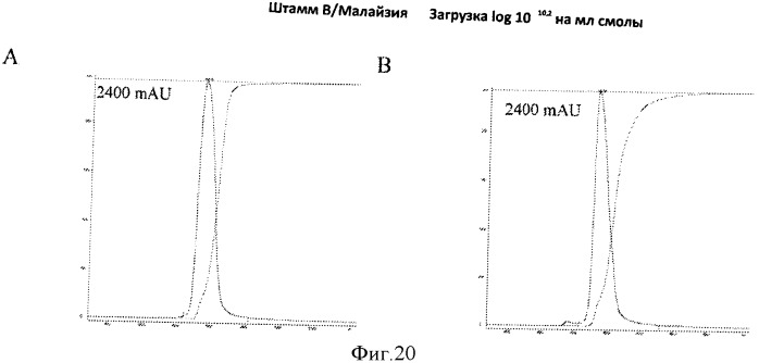 Способы культивирования клеток, размножения и очистки вирусов (патент 2547587)