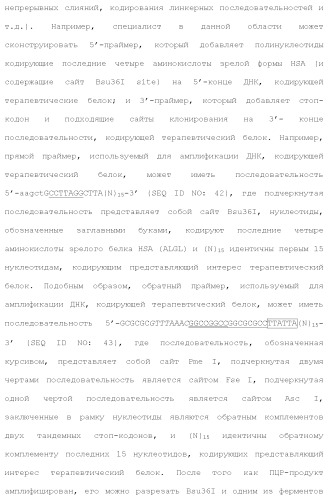 Слитые белки альбумина (патент 2369404)
