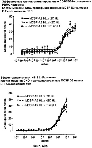 Pscaxcd3, cd19xcd3, c-metxcd3, эндосиалинxcd3, epcamxcd3, igf-1rxcd3 или fap-альфаxcd3 биспецифическое одноцепочечное антитело с межвидовой специфичностью (патент 2547600)