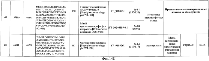 Бактериофаг, обладающий активностью против pseudomonas aeruginosa, белки бактериофага и способы их применения (патент 2580248)