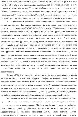 Моновалентные композиции для связывания cd40l и способы их применения (патент 2364420)