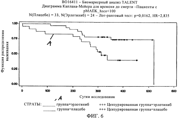 Определение респондеров на химиотерапию (патент 2416096)
