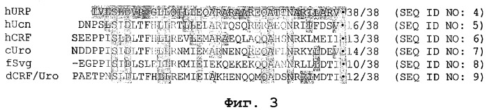 Белки урокортина и их применения (патент 2278871)