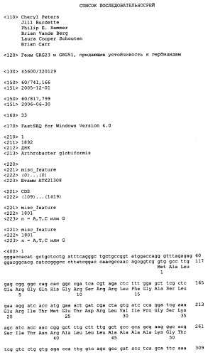 Гены grg23 и grg51, придающие устойчивость к гербицидам (патент 2393225)