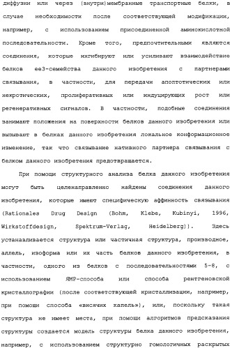 Ее3-семейство белков и соответствующие днк-последовательности (патент 2333918)