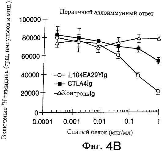 Растворимый мутантный ctla4 и его применение (патент 2283847)