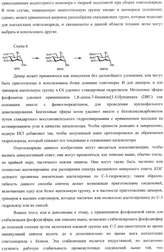 Иммуногены для вакцин против менингита а (патент 2412944)