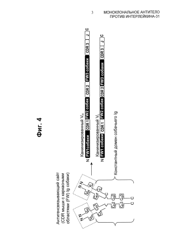 Моноклональное антитело против интерлейкина-31 (патент 2588462)