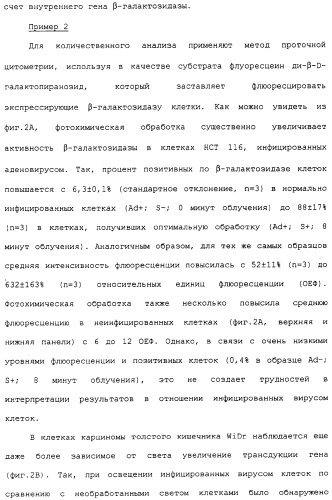 Фотохимическая интернализация для опосредованной вирусом доставки молекулы в цитозоль (патент 2317827)