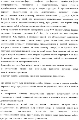 Твердофазное тегирование олигосахаридов: методика для манипуляции с иммобилизированными углеводами (патент 2398237)
