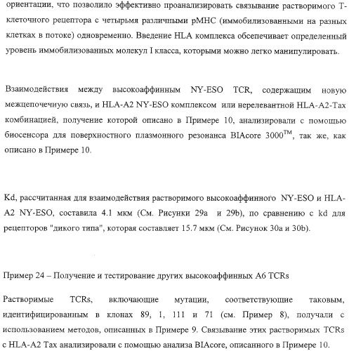 Экспонирование т-клеточных рецепторов (патент 2346004)