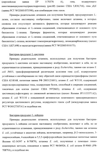 Способ конструирования оперонов, содержащих трансляционно сопряженные гены (патент 2411292)