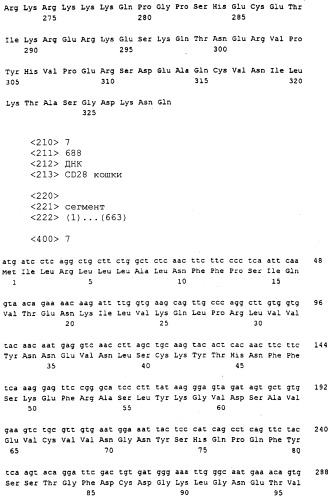 Нуклеиновые кислоты, кодирующие рецептор ctla-4 кошки, вектор, клетки-хозяева, вакцины, олигонуклеотиды, полипептиды ctla-4 кошки и способы индукции и подавления иммунного ответа у кошки (патент 2377302)