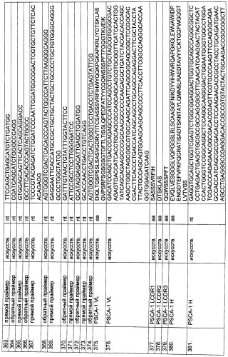 Pscaxcd3, cd19xcd3, c-metxcd3, эндосиалинxcd3, epcamxcd3, igf-1rxcd3 или fap-альфаxcd3 биспецифическое одноцепочечное антитело с межвидовой специфичностью (патент 2547600)