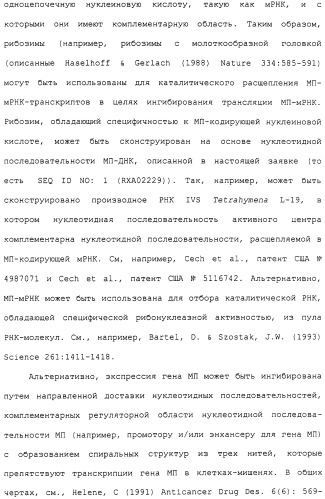 Гены corynebacterium glutamicum, кодирующие белки метаболических путей (патент 2306339)