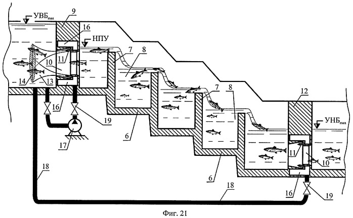 Способ пропуска рыб через рыбоход из нижнего бьефа гидроузла в верхний бьеф (варианты) (патент 2377365)