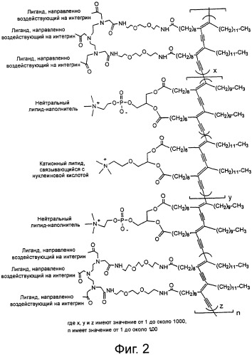 Система доставки нуклеиновых кислот (патент 2294192)