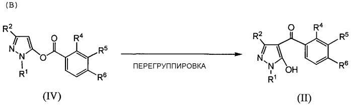 Соединения пиразола, способ их получения и содержащие их гербициды (патент 2495872)