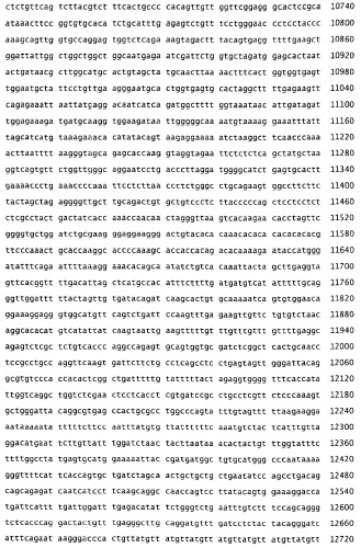 Применение s1p (патент 2362565)